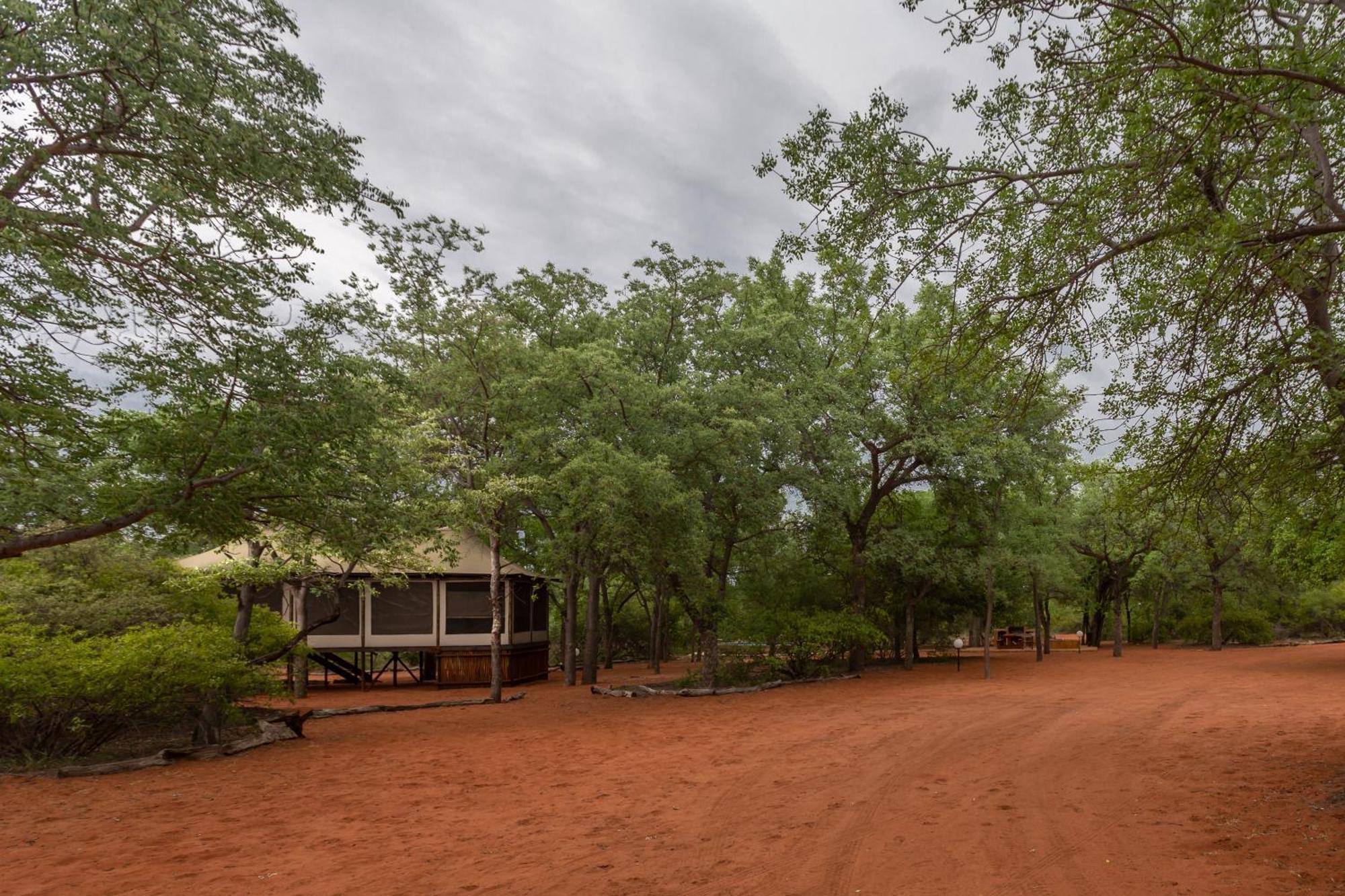 Iphofolo Lodge & Tented Camp Vivo Luaran gambar