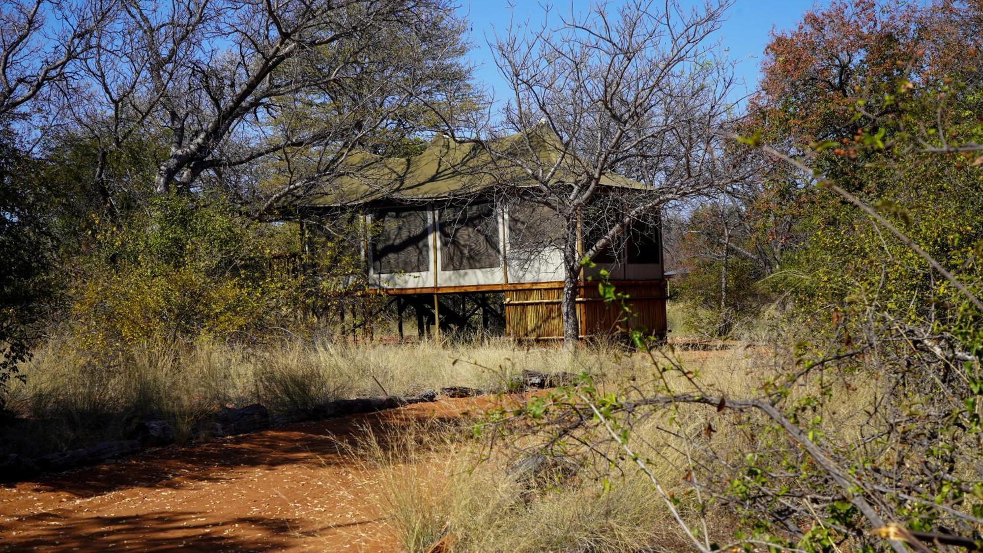 Iphofolo Lodge & Tented Camp Vivo Luaran gambar
