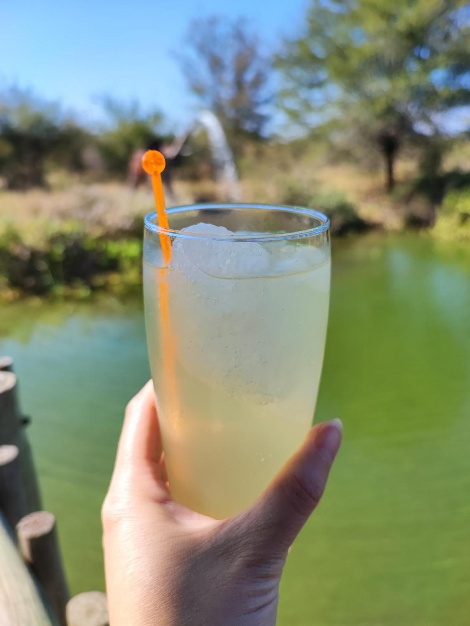 Iphofolo Lodge & Tented Camp Vivo Luaran gambar